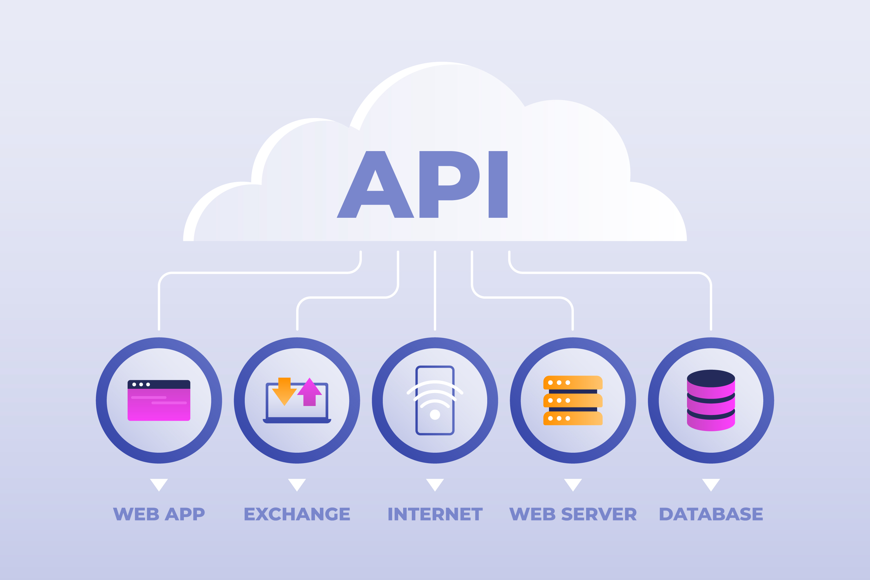 API & Backend